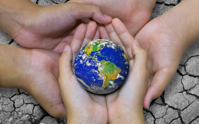 Building Social Trust: Small Steps Toward a Bigger ‘We’