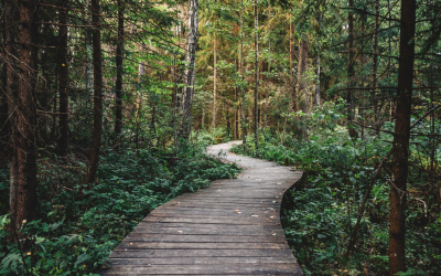 Living with Uncertainty