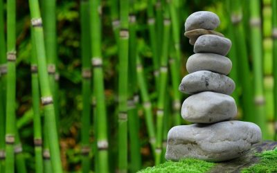 When Success Starts to Feel Heavier Than It Should